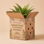 Plant Shipping Boxes
