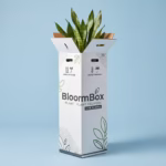 Plant Shipping Packaging